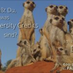 Biodiversity Credits mit Eddi Erdmann
