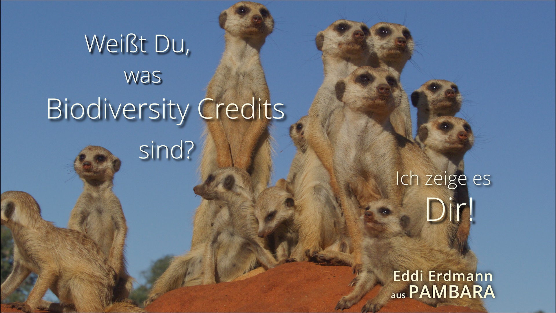Biodiversity Credits mit Eddi Erdmann